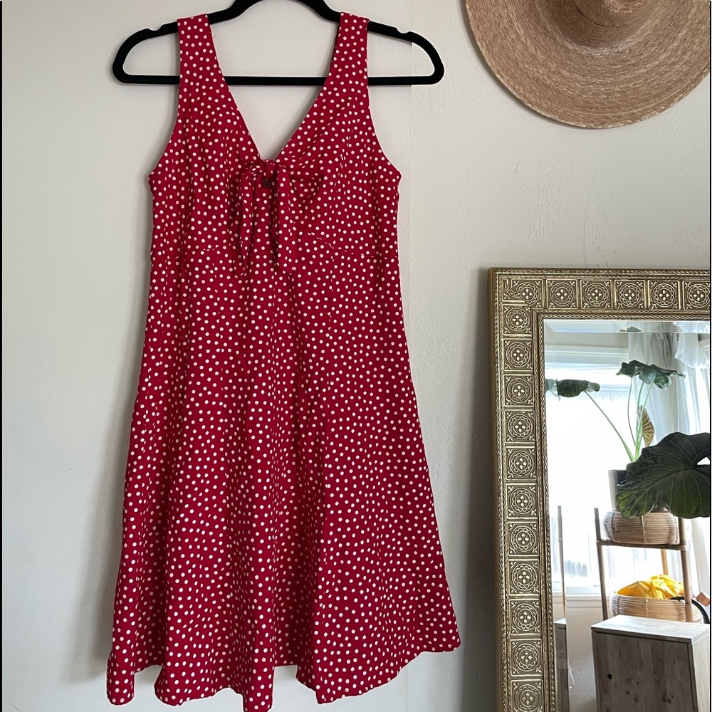 Vintage fit n flare dress